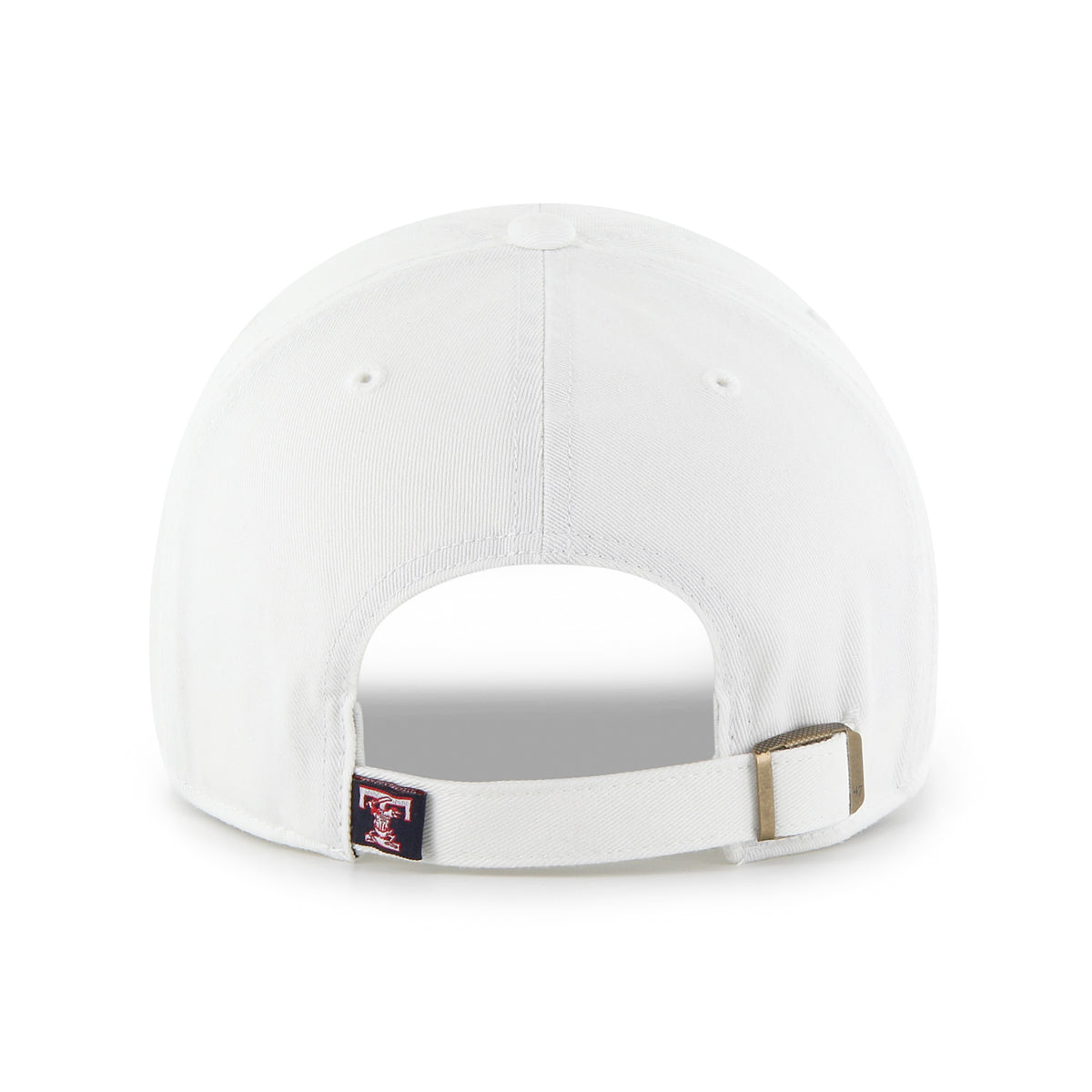 Toledo Mud Hens White Pennant Logo Clean Up Cap – The Swamp Shop