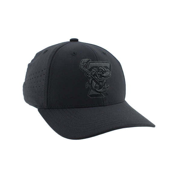 Toledo Walleye Echo Fitted Cap