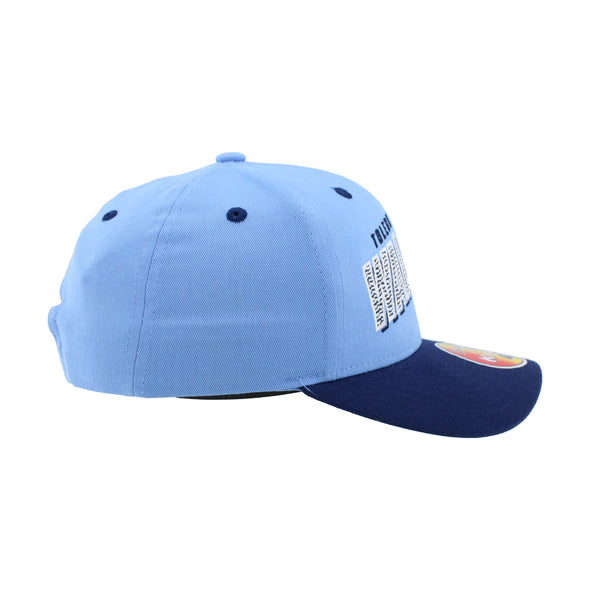 Toledo Walleye Youth Shimmy Cap