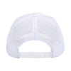 Toledo Walleye Whiteout Cap