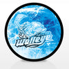 Toledo Walleye Iced Out Puck