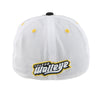 Toledo Walleye Mini Camp Cap