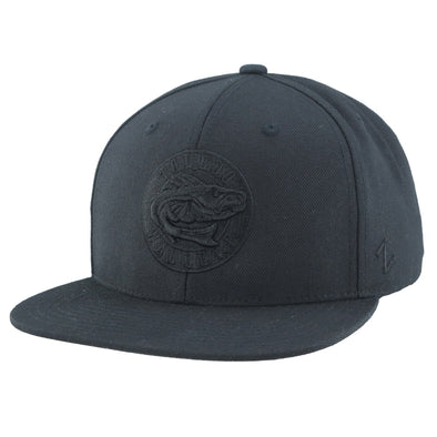 Toledo Walleye Gray And Navy Baseball Hat. 47 Brand. ECHL. BACK