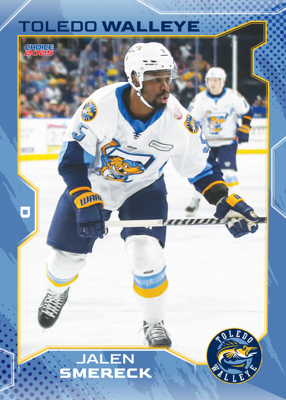 Toledo Walleye 2024/2025 Team Set