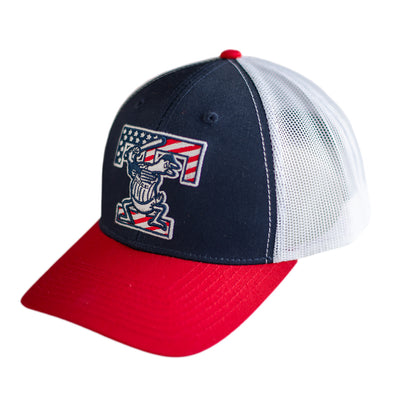 Toledo Mud Hens T-Logo USA Modern Trucker
