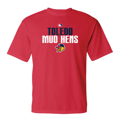 Toledo Mud Hens Vexed Perforance T