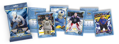 Toledo Walleye 2024/2025 Team Set