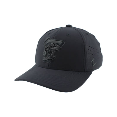 Toledo Walleye Echo Fitted Cap