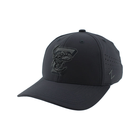 Toledo Walleye Echo Fitted Cap