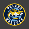 Toledo Walleye Duvall Hockey Hooded Sweatshirt