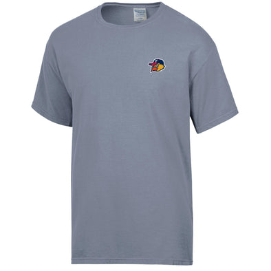 Toledo Mud Hens Chatham Comfort Wash T