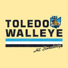 Toledo Walleye Cummings Comfort Wash T
