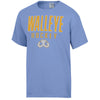 Toledo Walleye Edwards Comfort Wash T