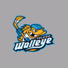 Toledo Walleye Oxford Jersey Long Sleeve T