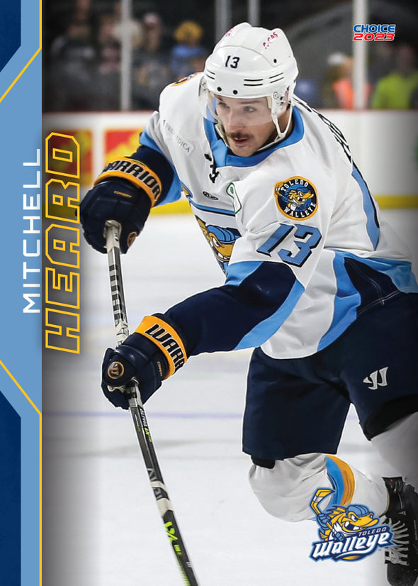 Toledo Walleye 2022/2023 Team Set